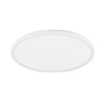Ultrathin Oyster