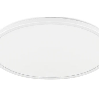 Ultrathin Oyster