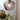 Orbiform Pendant Grey