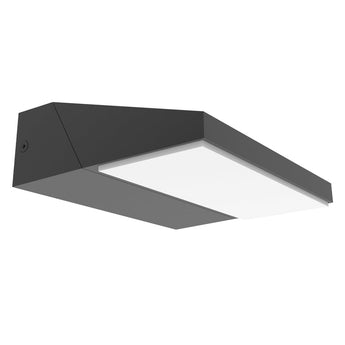 PLANA: Exterior LED Adjustable Wedge Surface Mounted Wall Lights IP65